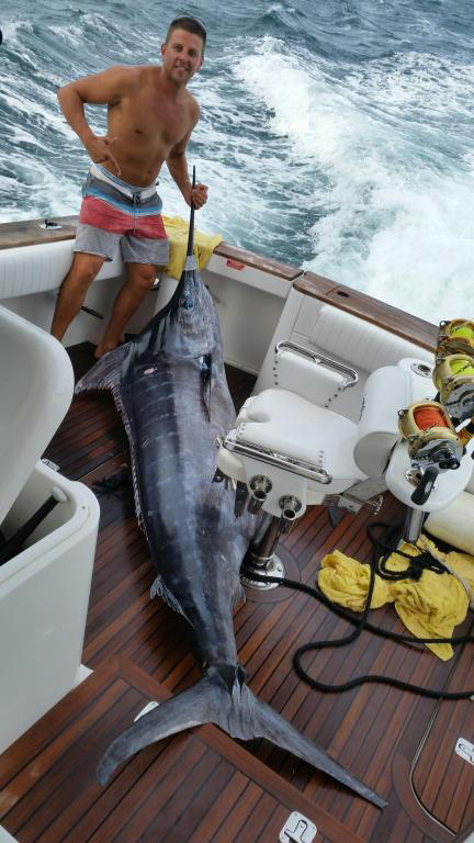 ANGLER: William Kozma SPECIES: Blue Marlin WEIGHT: 192 kgs LURE: JB Lures, 14" Chopper